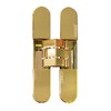 Купить Петля дверная скрытой установки Kubica K7080, цвет полированное золото (OL) по цене 8909 руб. в Москве