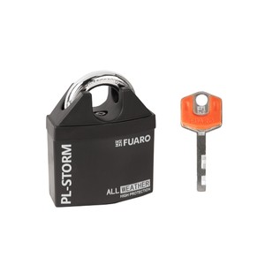 ������ ����� �������� Fuaro PL-STORM-3650 (�������� ��������), 4 ����� � ������
